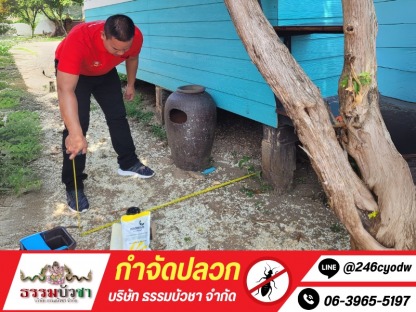 กำจัดปลวกแบบปลอดภัย - กำจัดปลวก นครปฐม - ธรรมบัวชา