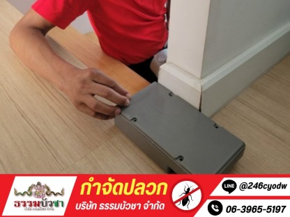 กำจัดปลวกแบบเหยื่อล่อ - กำจัดปลวก นครปฐม - ธรรมบัวชา