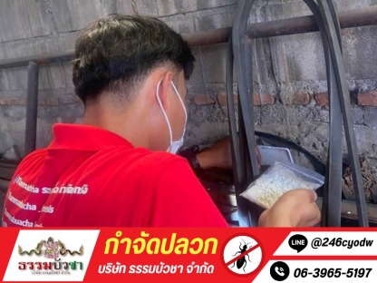 กำจัดปลวกเร่งด่วน นครปฐม - กำจัดปลวก นครปฐม - ธรรมบัวชา