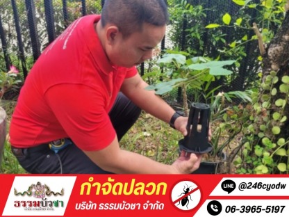 กำจัดปลวกเร่งด่วน - กำจัดปลวก นครปฐม - ธรรมบัวชา