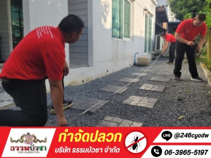 รับกำจัดปลวก และแมลง - กำจัดปลวก นครปฐม - ธรรมบัวชา