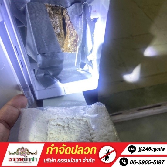 กำจัดปลวก นครปฐม - ธรรมบัวชา - กำจัดปลวกด้วยระบบเหยื่อ นครปฐม